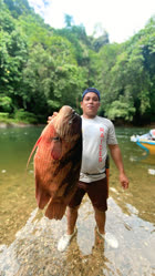 00-0-Copr_2025-Kenyalang_Reelst.jpg