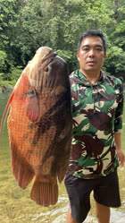 02-0-Copr_2025-Kenyalang_Reelst.jpg