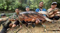 03-0-Copr_2025-Kenyalang_Reelst.jpg