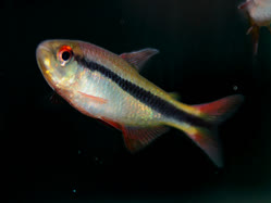 02-0-Copr_2025-Ming_Long.jpg 02-0-Copr_2025-Ming_Longt.jpg