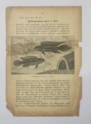 00-0-Copr_2025-Unknownt.jpg