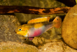 01-0-Copr_2025-Michel_Keijman.jpg 01-0-Copr_2025-Michel_Keijmant.jpg