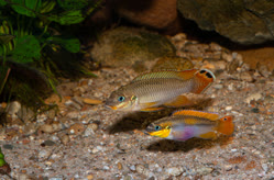 02-0-Copr_2025-Michel_Keijman.jpg 02-0-Copr_2025-Michel_Keijmant.jpg