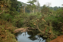 03-0-Copr_2025-Michel_Keijman.jpg 03-0-Copr_2025-Michel_Keijmant.jpg