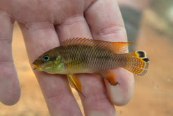 04-0-Copr_2025-Michel_Keijman.jpg 04-0-Copr_2025-Michel_Keijmant.jpg