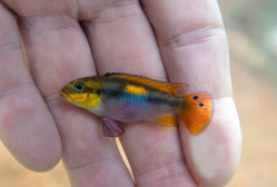 05-0-Copr_2025-Michel_Keijman.jpg 05-0-Copr_2025-Michel_Keijmant.jpg