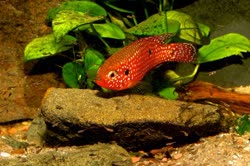 03-0-Copr_2018-Uwe_Werner.jpg 03-0-Copr_2018-Uwe_Wernert.jpg