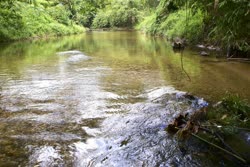 01-0-Copr_2017-ecologicordt.jpg