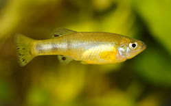 02-0-Copr_2025-Aqua_Global_DEt.jpg