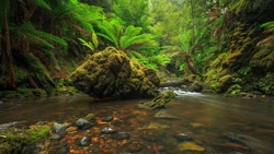 tasmania