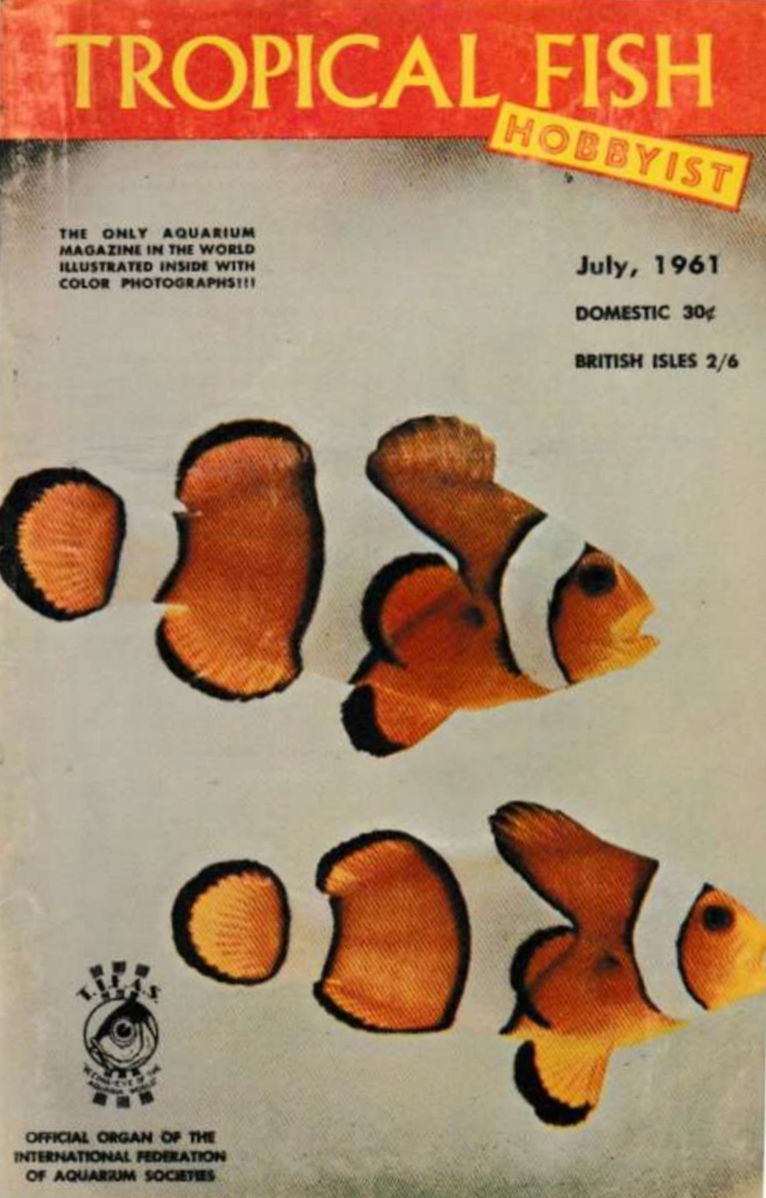 196 1 -  1961