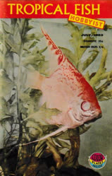 00-0-Copr_1963-TFHt.jpg