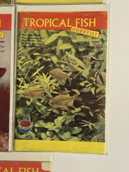 00-0-Copr_1965-TFHt.jpg