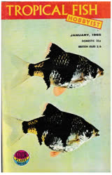 00-0-Copr_1965-TFHt.jpg