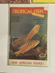 00-0-Copr_1965-TFHt.jpg