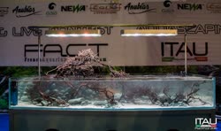 02-0-Copr_2016-ITAUt.jpg