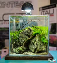 08-0-Copr_2016-ITAUt.jpg