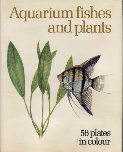 fishes_and_plants