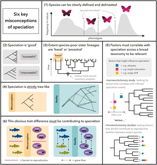 speciation