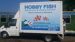 hobby-fish
