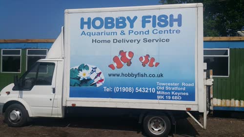 hobby-fish