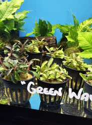 14-0-Copr_2025-Finatics.jpg 14-0-Copr_2025-Finaticst.jpg