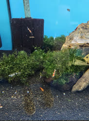 16-0-Copr_2025-Finatics.jpg 16-0-Copr_2025-Finaticst.jpg