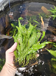 23-0-Copr_2025-Finatics.jpg 23-0-Copr_2025-Finaticst.jpg