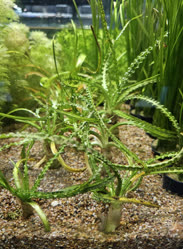 24-0-Copr_2025-Finatics.jpg 24-0-Copr_2025-Finaticst.jpg