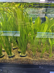 25-0-Copr_2025-Finatics.jpg 25-0-Copr_2025-Finaticst.jpg