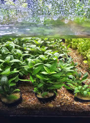 28-0-Copr_2025-Finatics.jpg 28-0-Copr_2025-Finaticst.jpg