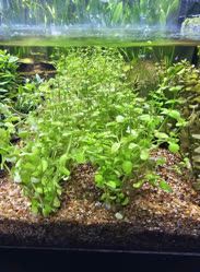 29-0-Copr_2025-Finatics.jpg 29-0-Copr_2025-Finaticst.jpg