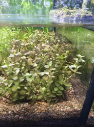 30-0-Copr_2025-Finatics.jpg 30-0-Copr_2025-Finaticst.jpg