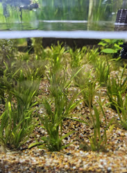 31-0-Copr_2025-Finatics.jpg 31-0-Copr_2025-Finaticst.jpg