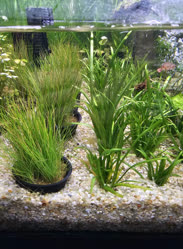 33-0-Copr_2025-Finatics.jpg 33-0-Copr_2025-Finaticst.jpg