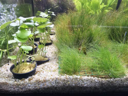 34-0-Copr_2025-Finatics.jpg 34-0-Copr_2025-Finaticst.jpg