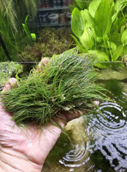 35-0-Copr_2025-Finatics.jpg 35-0-Copr_2025-Finaticst.jpg