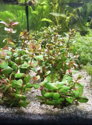 36-0-Copr_2025-Finatics.jpg 36-0-Copr_2025-Finaticst.jpg