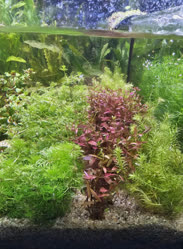 37-0-Copr_2025-Finatics.jpg 37-0-Copr_2025-Finaticst.jpg