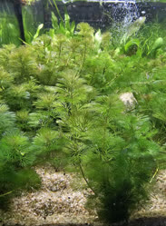 39-0-Copr_2025-Finatics.jpg 39-0-Copr_2025-Finaticst.jpg