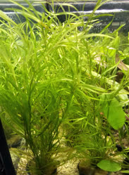 40-0-Copr_2025-Finatics.jpg 40-0-Copr_2025-Finaticst.jpg