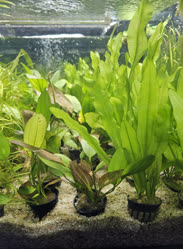 41-0-Copr_2025-Finatics.jpg 41-0-Copr_2025-Finaticst.jpg