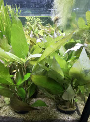 43-0-Copr_2025-Finatics.jpg 43-0-Copr_2025-Finaticst.jpg