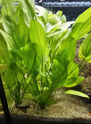 46-0-Copr_2025-Finatics.jpg 46-0-Copr_2025-Finaticst.jpg