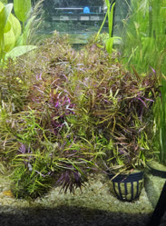 47-0-Copr_2025-Finatics.jpg 47-0-Copr_2025-Finaticst.jpg