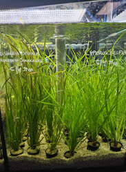 48-0-Copr_2025-Finatics.jpg 48-0-Copr_2025-Finaticst.jpg