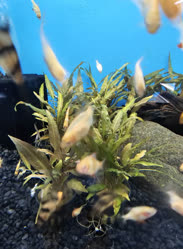 49-0-Copr_2025-Finatics.jpg 49-0-Copr_2025-Finaticst.jpg