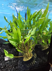 51-0-Copr_2025-Finatics.jpg 51-0-Copr_2025-Finaticst.jpg