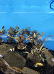 52-0-Copr_2025-Finatics.jpg 52-0-Copr_2025-Finaticst.jpg