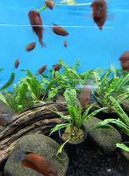 53-0-Copr_2025-Finatics.jpg 53-0-Copr_2025-Finaticst.jpg